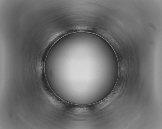 X0000112870160200908281632