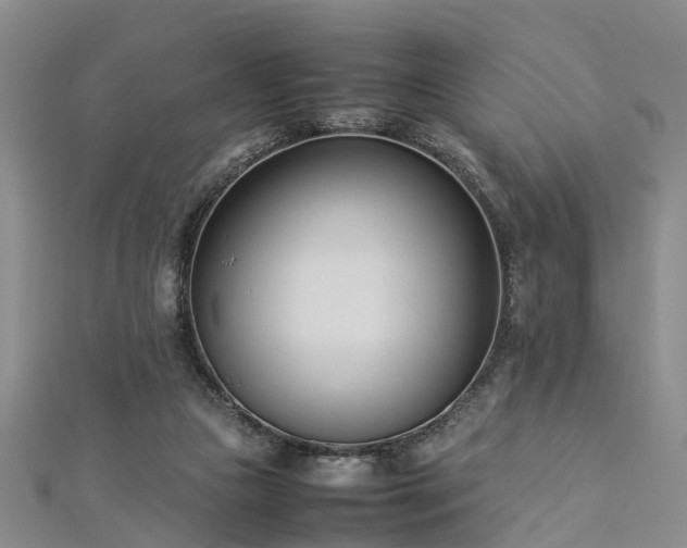 X0000112870161200908281632