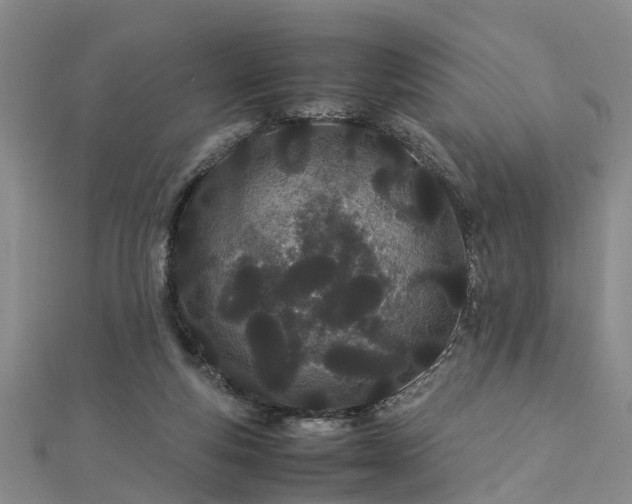 X0000112870163200908281632