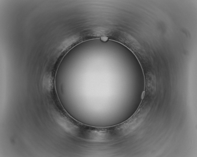 X0000112870164200908281632