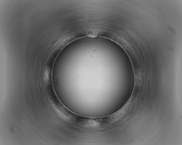 X0000112870166200908281632