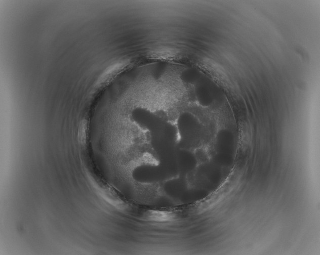 X0000112870167200908281632