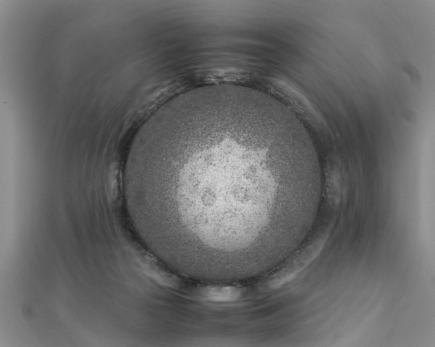 X0000112870169200908281632