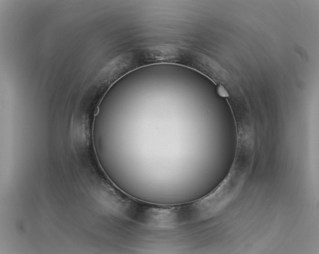 X0000112870170200908281632