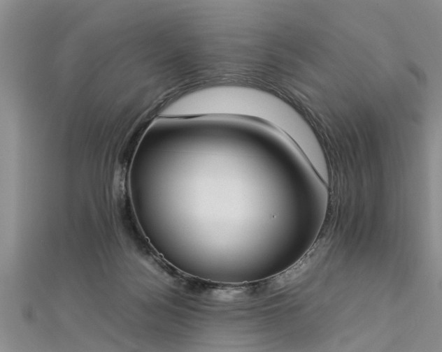 X0000112870172200908281633