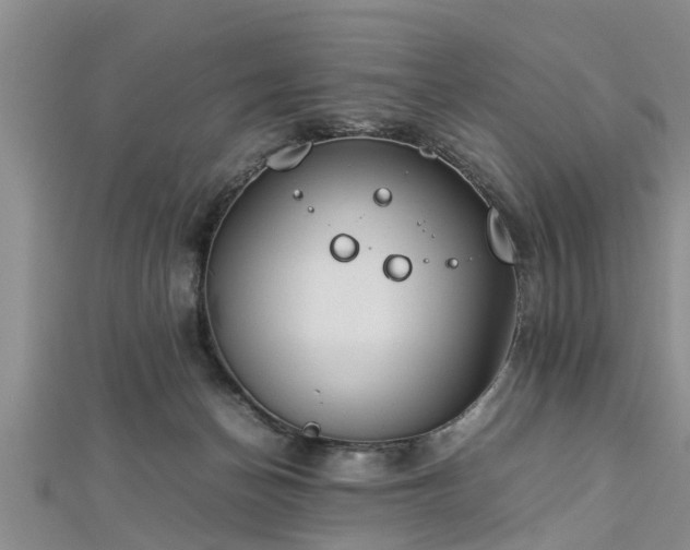 X0000112870174200908281633