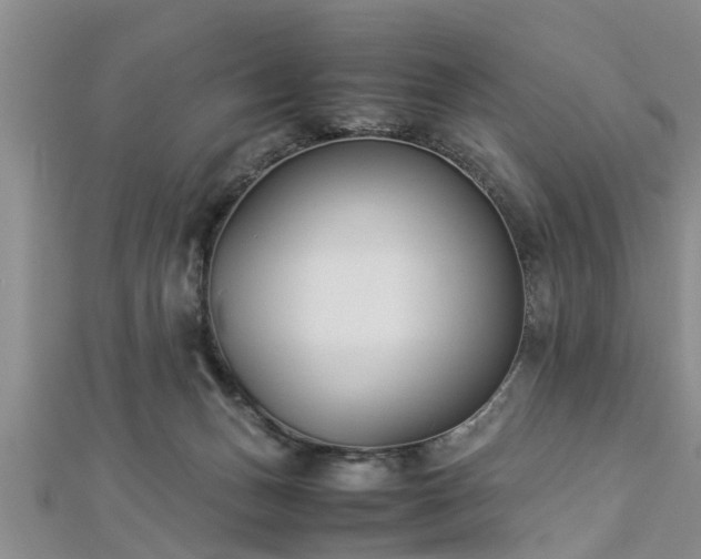 X0000112870175200908281633