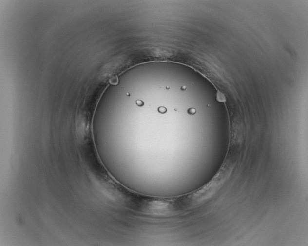 X0000112870176200908281633