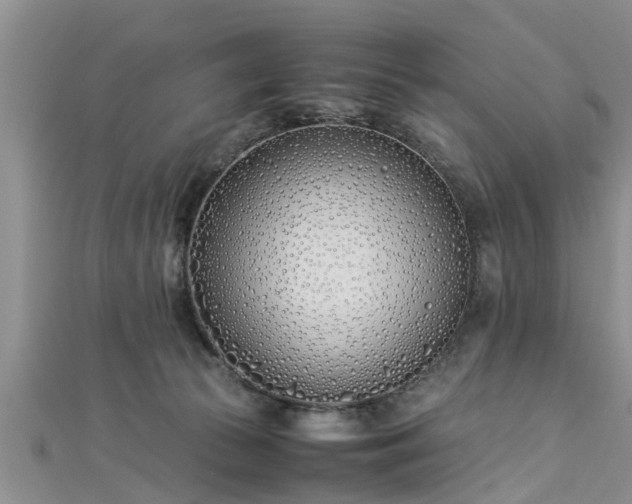 X0000112870177200908281633