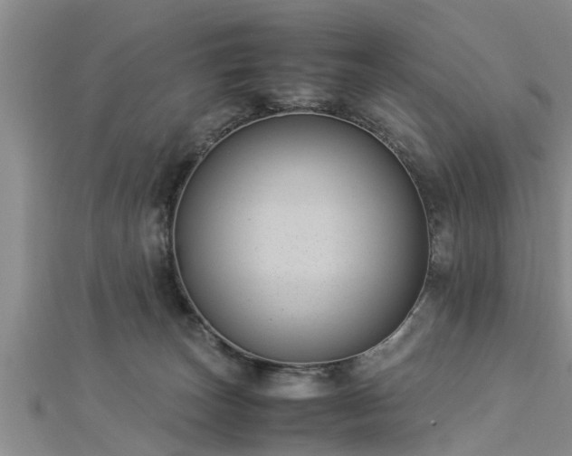 X0000112870179200908281633