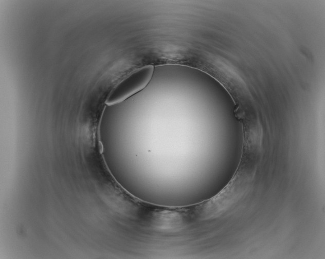 X0000112870180200908281633