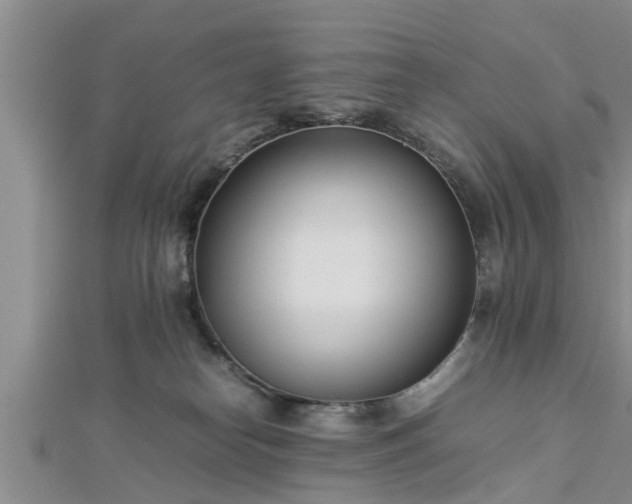 X0000112870182200908281633