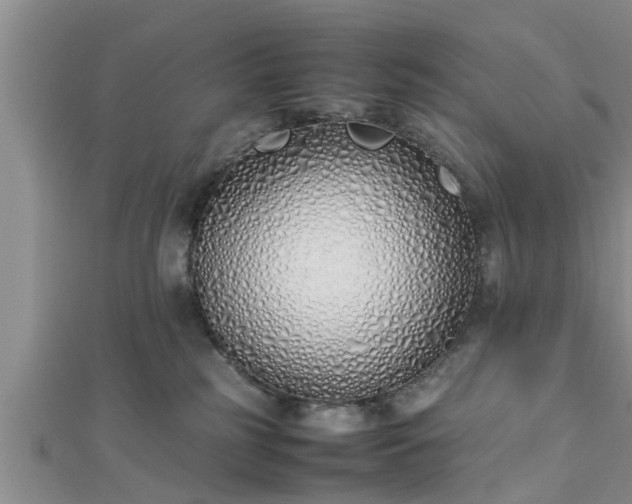 X0000112870185200908281633