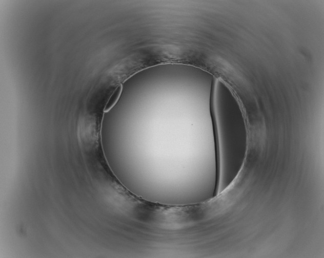 X0000112870186200908281633