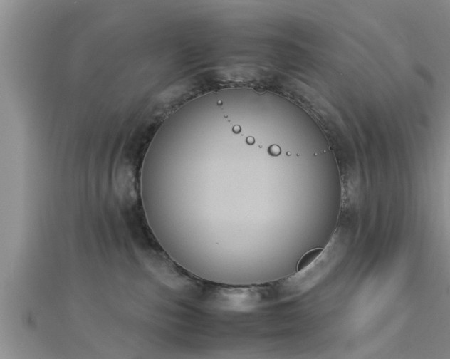 X0000112870187200908281633