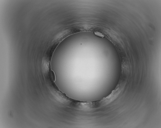 X0000112870188200908281633