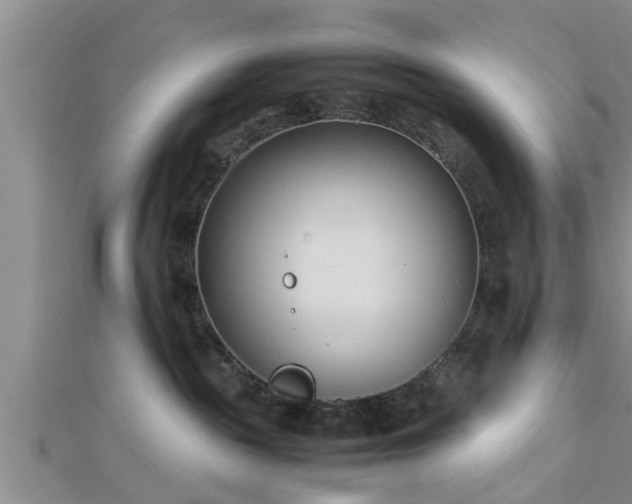 X0000112870189200908281633