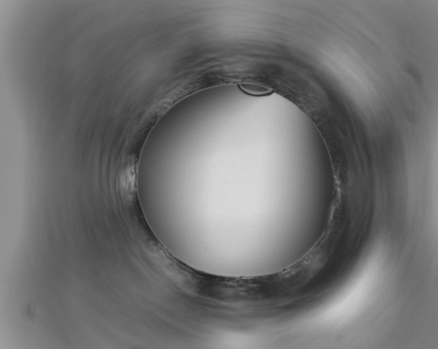 X0000112870190200908281633