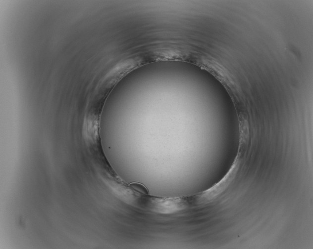 X0000112870191200908281633