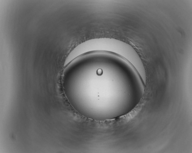 X0000112870192200908281633