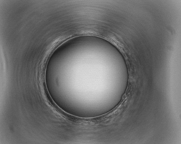 X0000112870193200908281632