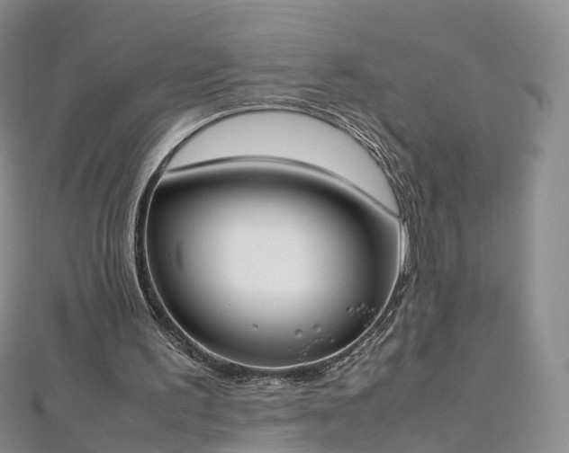 X0000112870195200908281632