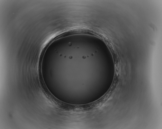 X0000112870196200908281632