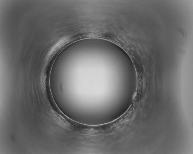 X0000112870197200908281632