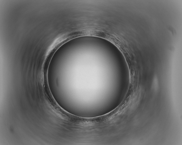 X0000112870198200908281632