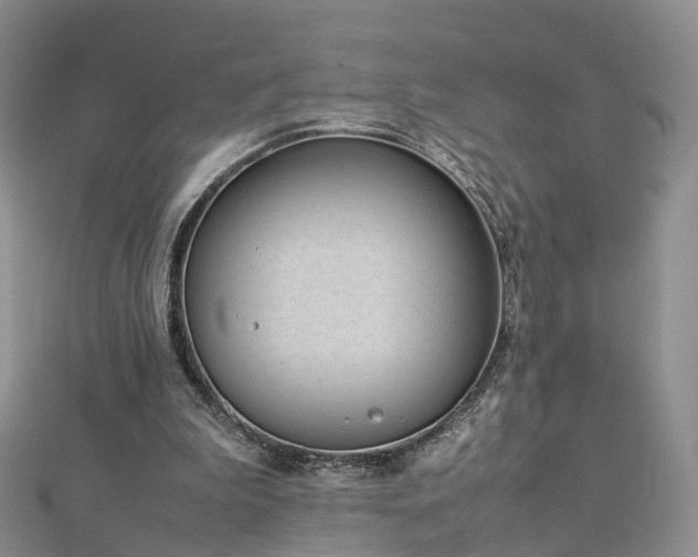 X0000112870199200908281632