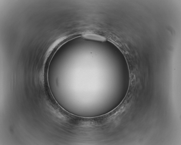 X0000112870200200908281632