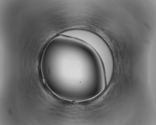 X0000112870201200908281632