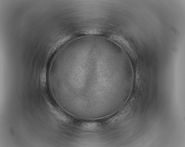 X0000112870202200908281632