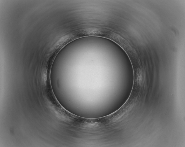 X0000112870206200908281632