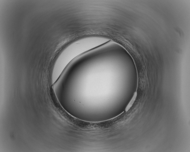 X0000112870207200908281632