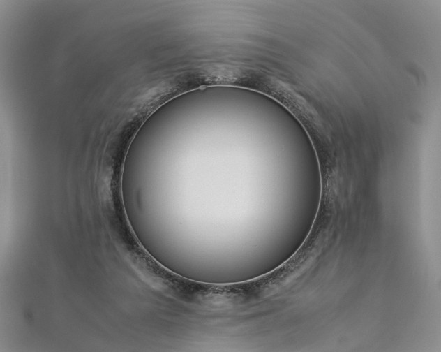 X0000112870209200908281632