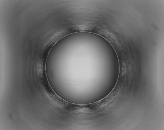 X0000112870210200908281632