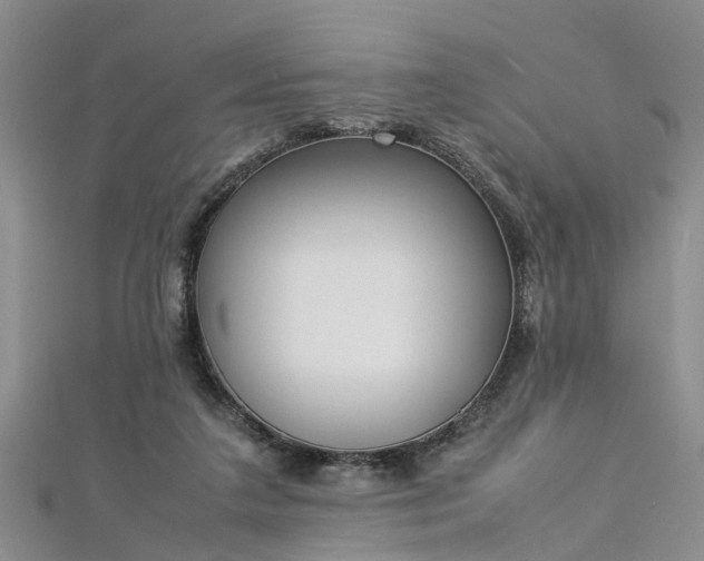 X0000112870211200908281632