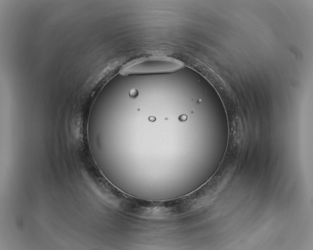 X0000112870212200908281632