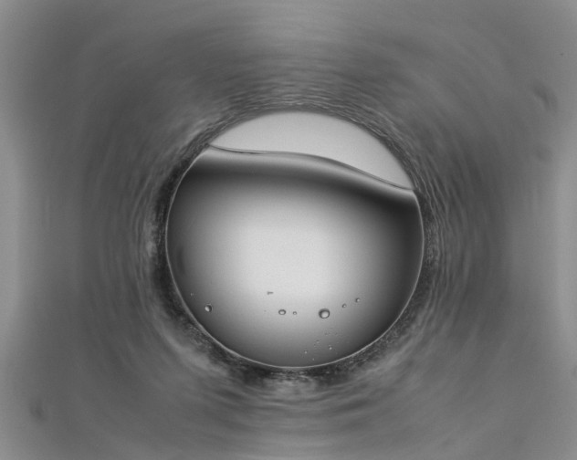 X0000112870215200908281632