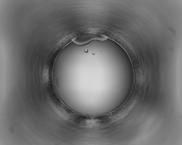 X0000112870216200908281632