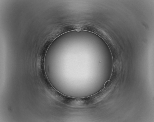 X0000112870217200908281631