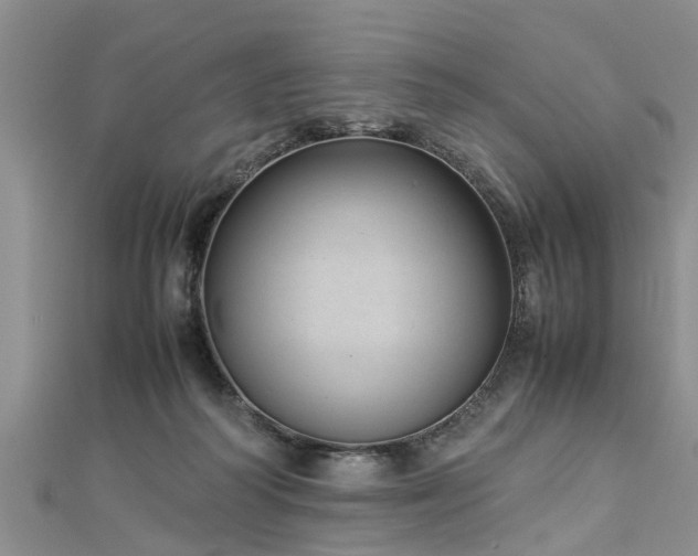 X0000112870218200908281631