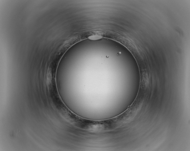 X0000112870220200908281631