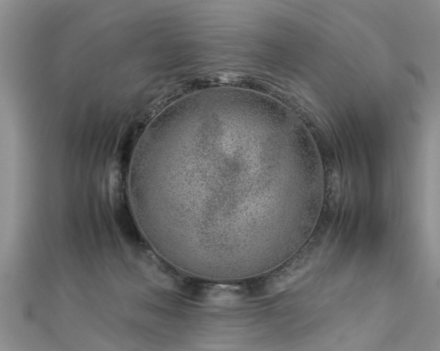 X0000112870222200908281631