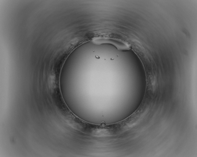 X0000112870224200908281631