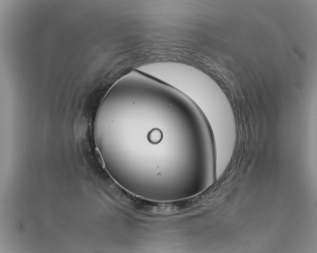 X0000112870225200908281631