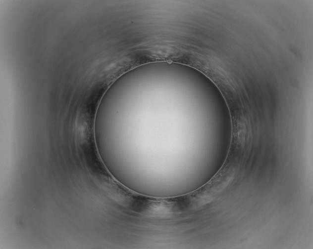 X0000112870226200908281631