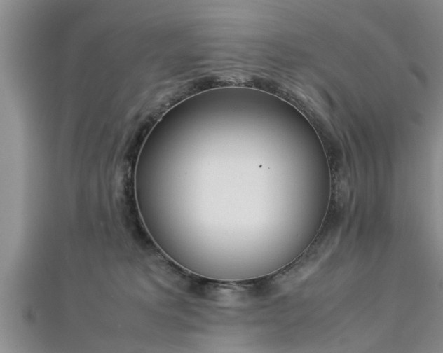 X0000112870229200908281631