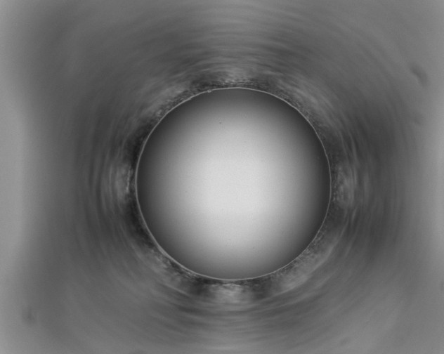 X0000112870230200908281631